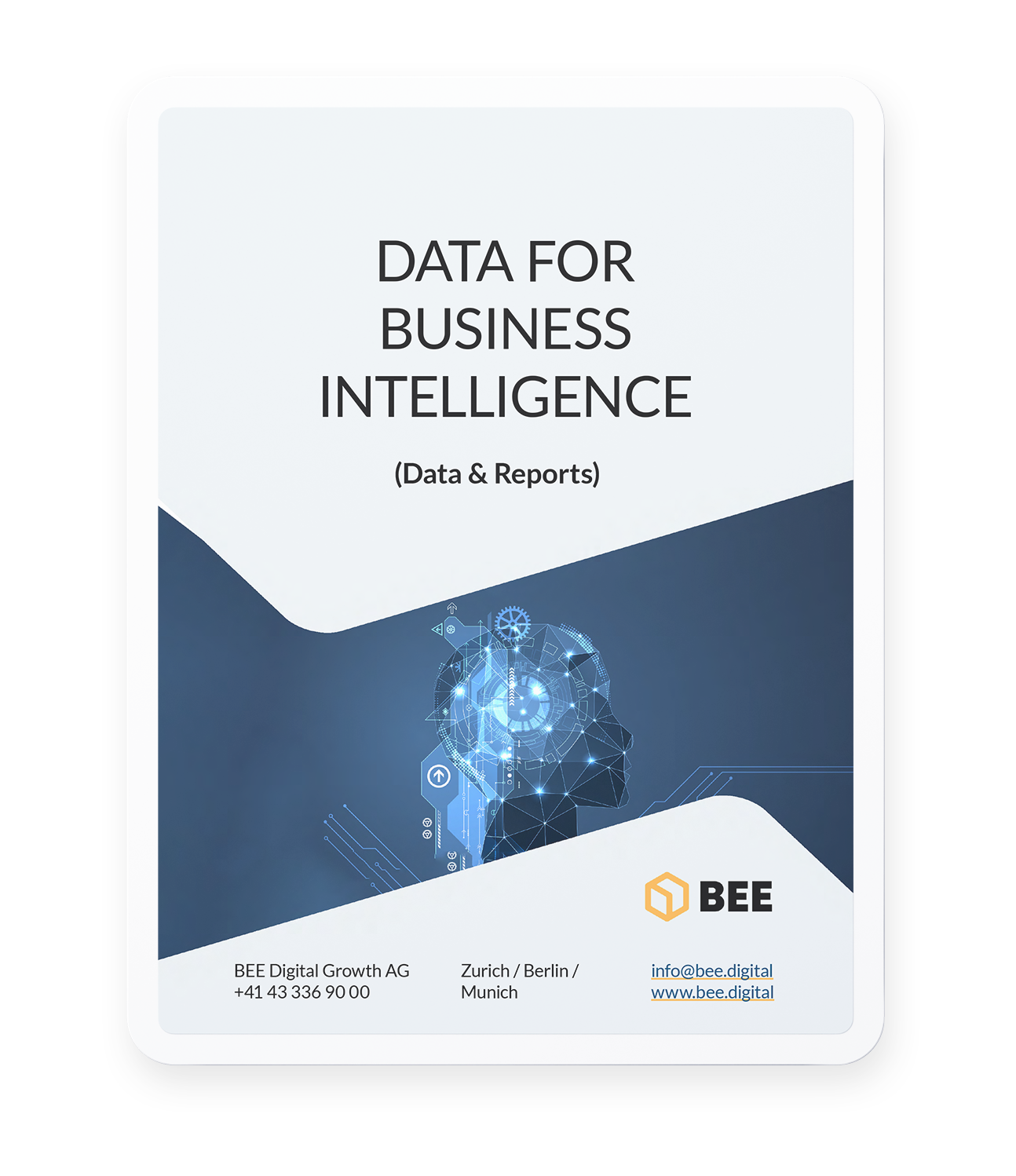 eBook Data for Business Intelligence | BEE